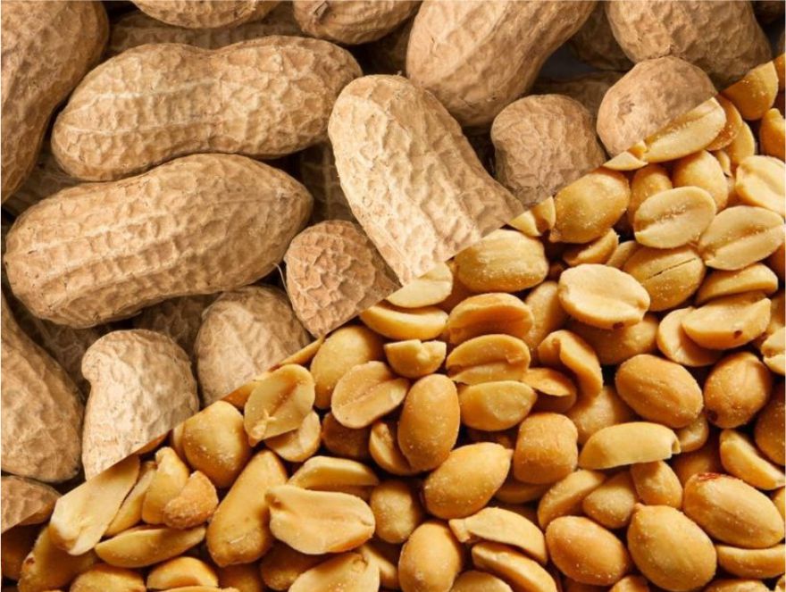 Bega to shell out $12m for peanut grower